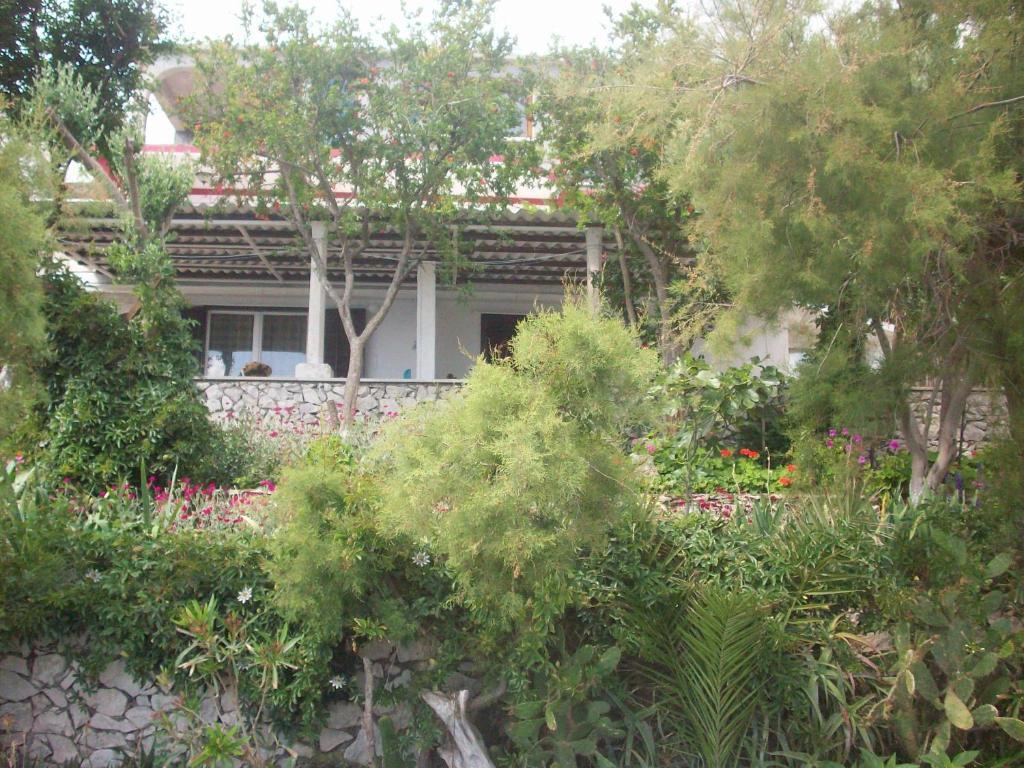 Apartments Tomovic 鲁巴达 外观 照片